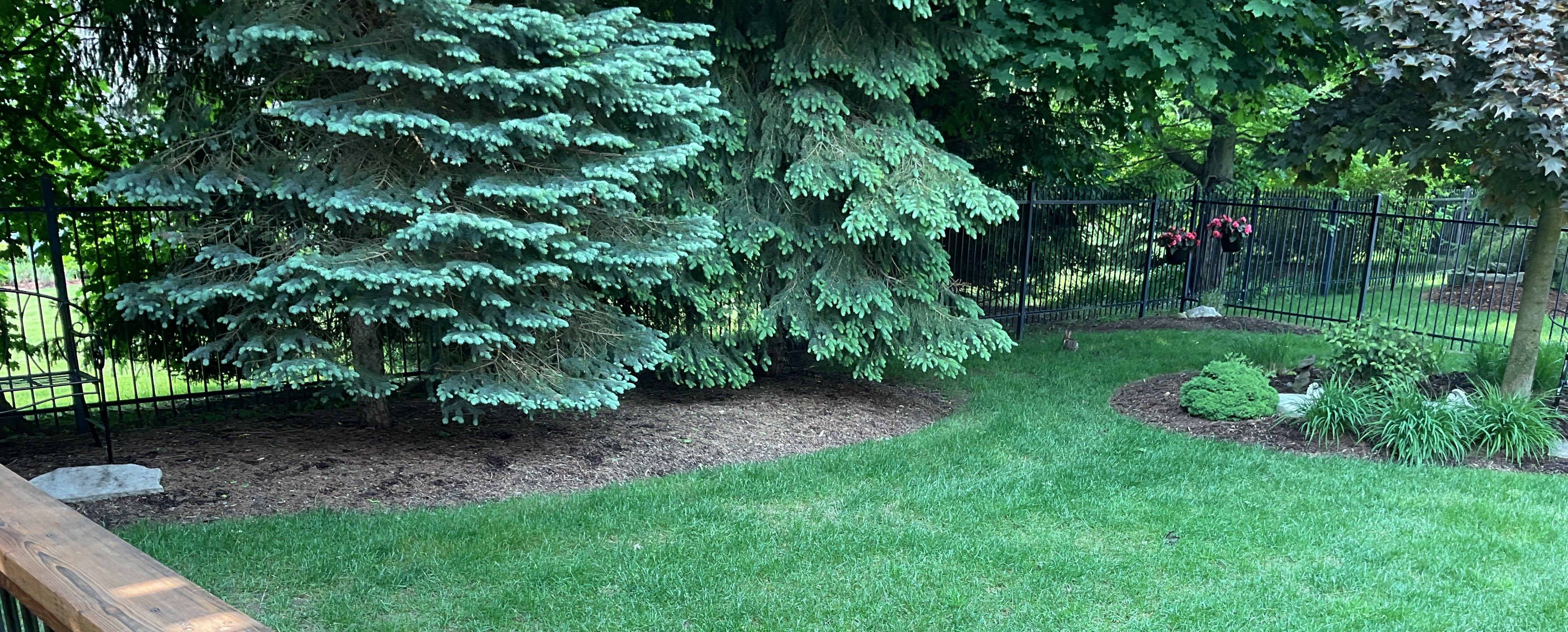after-lawn-care-services
