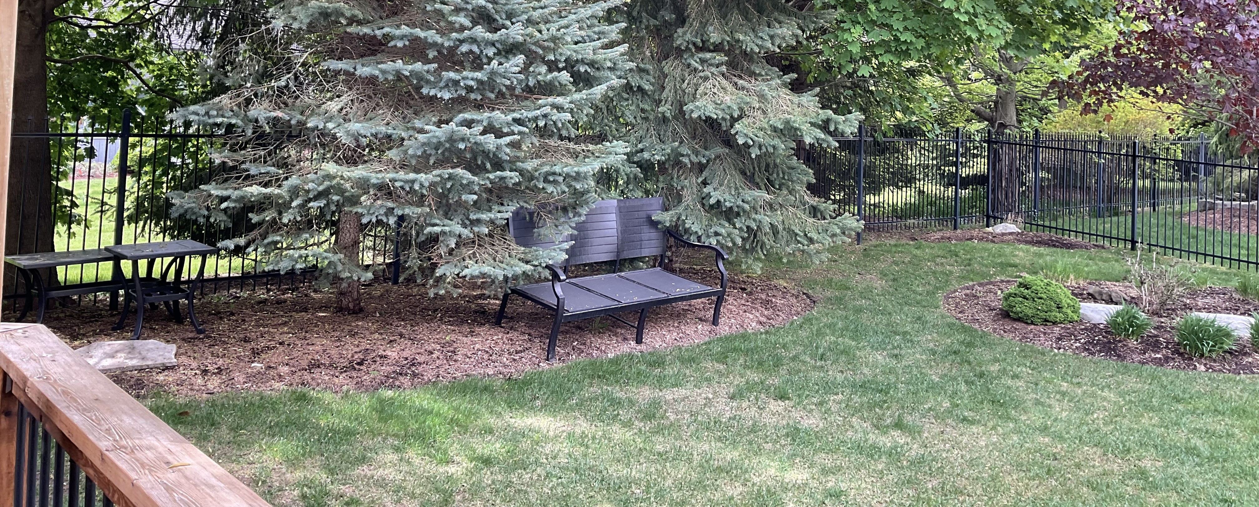 before-lawn-care-services